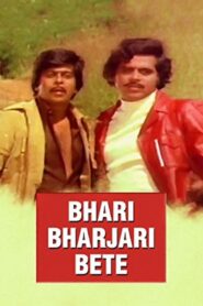 Bhari Bharjari Bete 1981 one on netflix