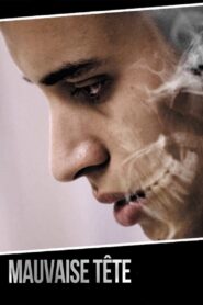Heady Stuff 2014 one on netflix