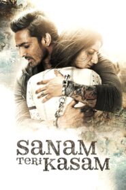 Sanam Teri Kasam 2016 one on netflix