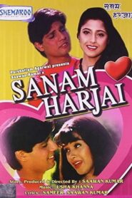 Sanam Harjai 1995 one on netflix