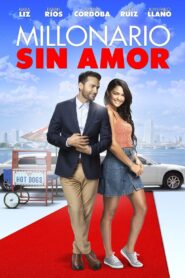 Millonario sin amor 2021 one on netflix