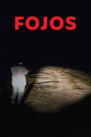 Fojos 2020 one on netflix
