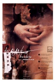 The House of Angels 1998 one on netflix