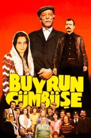 Buyurun Cümbüşe 1982 one on netflix