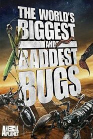 The World’s Biggest and Baddest Bugs 2009 one on netflix