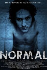 Normal 2013 one on netflix