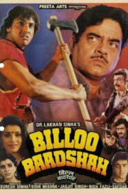 Billoo Baadshah 1989 one on netflix