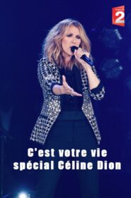 C’est votre vie 2013 one on netflix
