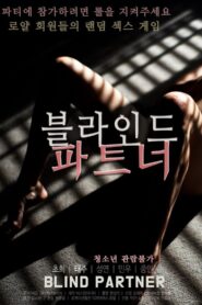 Blind Partner 2020 one on netflix