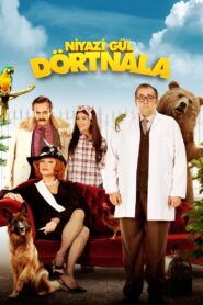 Niyazi Gül Dörtnala 2015 one on netflix