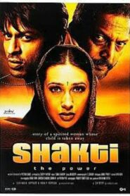 Shakti: The Power 2002 one on netflix