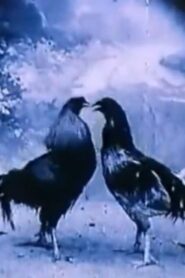 Criminal Animals 1994 one on netflix