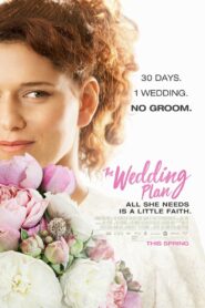 The Wedding Plan 2016 one on netflix