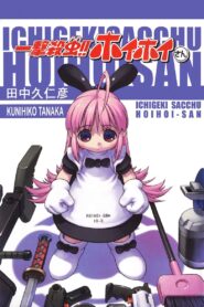 Ichigeki Sacchuu!! Hoihoi-san 2004 one on netflix