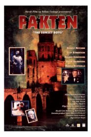 The Sunset Boys 1995 one on netflix