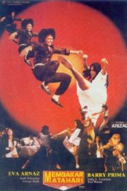 To Burn The Sun 1981 one on netflix