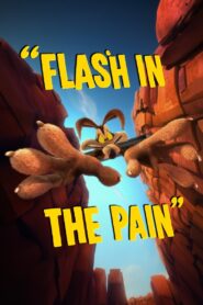 Flash in the Pain 2014 one on netflix