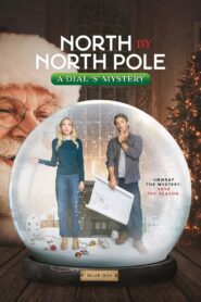 North by North Pole: A Dial S Mystery 2024 one on netflix