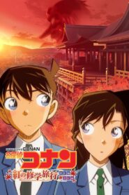 Detective Conan: The Scarlet School Trip 2019 one on netflix