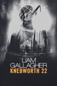 Liam Gallagher: Knebworth 22 2022 one on netflix