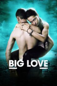 Big Love 2012 one on netflix