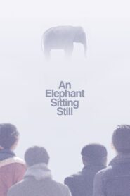 An Elephant Sitting Still 2018 one on netflix