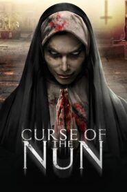 Curse of the Nun 2018 one on netflix