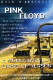 Rock Milestones: Pink Floyd: A Momentary Lapse of Reason 2007 one on netflix