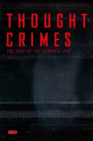 Thought Crimes 2015 one on netflix