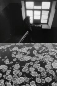 Wanderers of White Time 1993 one on netflix
