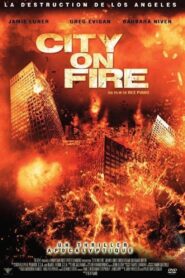 Heat Wave 2010 one on netflix