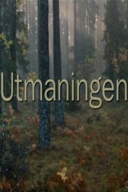 Utmaningen 1994 one on netflix