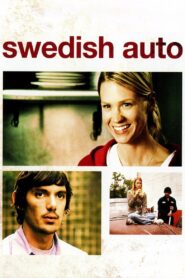 Swedish Auto 2006 one on netflix
