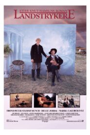 The Wanderers 1989 one on netflix