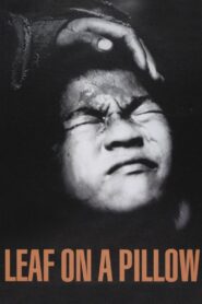 Leaf on a Pillow 1998 one on netflix