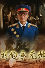 刘伯承元帅 2012 one on netflix