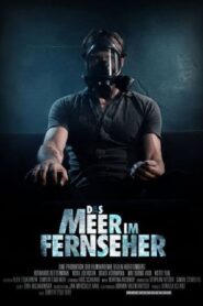 Das Meer im Fernseher 2013 one on netflix