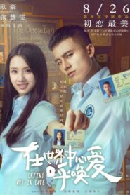 Crying Out In Love 2016 one on netflix