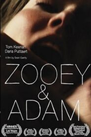 Zooey & Adam 2009 one on netflix