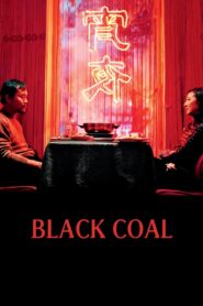 Black Coal, Thin Ice 2014 one on netflix