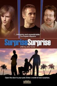 Surprise, Surprise 2009 one on netflix