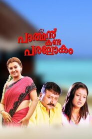 Parthan Kanda Paralokam 2008 one on netflix