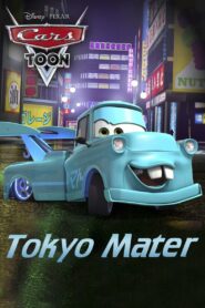 Tokyo Mater 2008 one on netflix