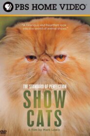 The Standard of Perfection: Show Cats 2006 one on netflix