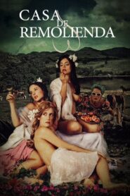 Casa de remolienda 2007 one on netflix