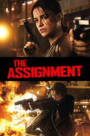 The Assignment 2016 one on netflix