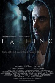 Falling 2017 one on netflix
