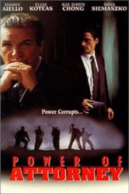 Power of Attorney 1995 one on netflix