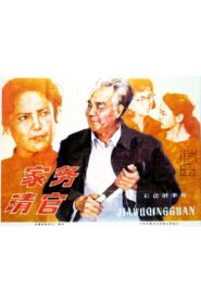 家务清官 1982 one on netflix