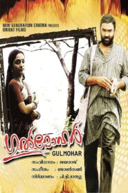 Gulmohar 2008 one on netflix